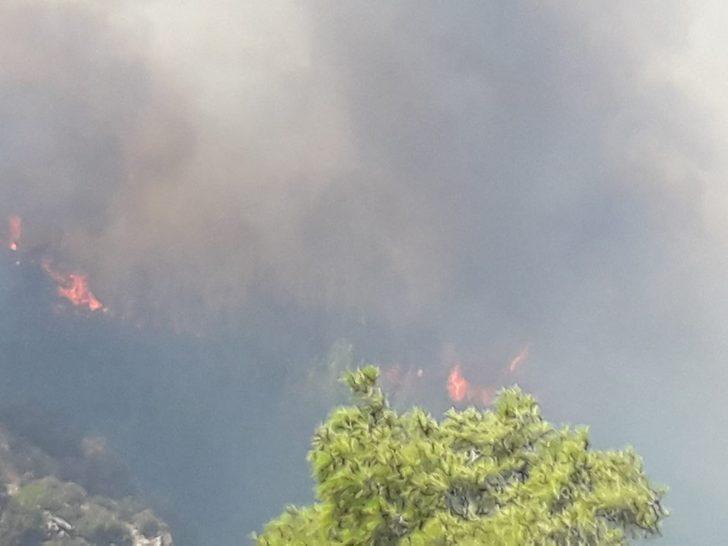 Son dakika: Milas'ta orman yangını! Giderek büyüyor G4