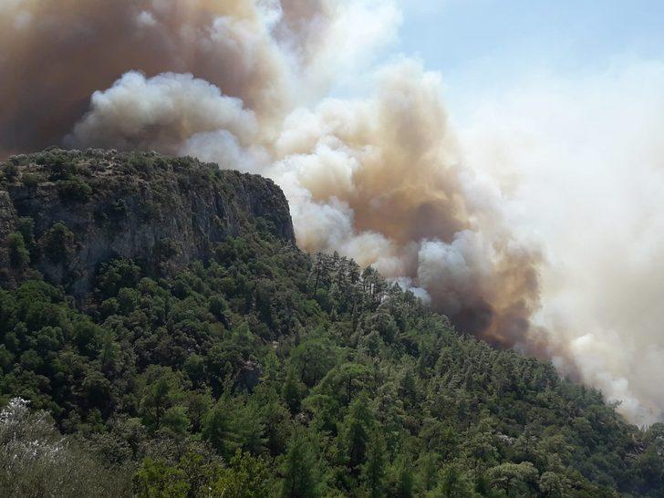 Son dakika: Milas'ta orman yangını! Giderek büyüyor G5