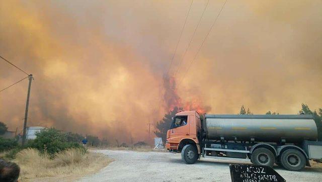 Urla'da orman yangını (2)