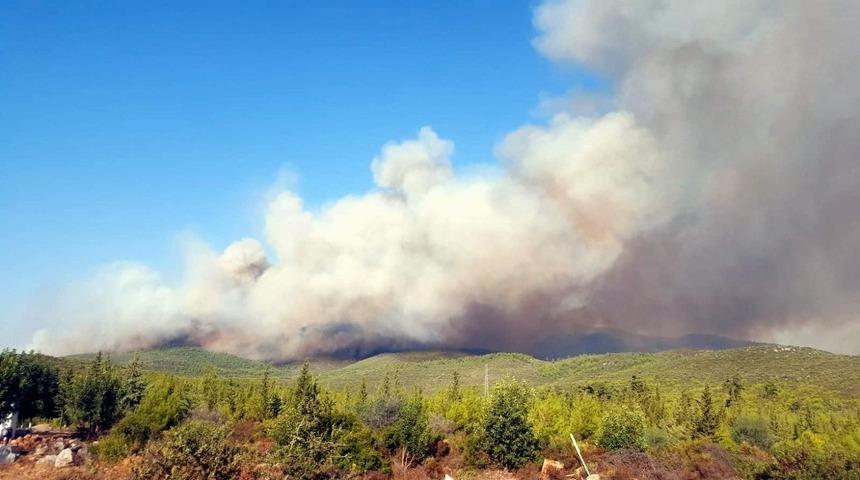 Muğla’daki orman yangınları devam ediyor