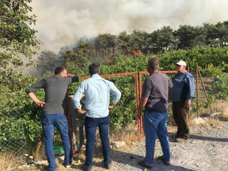 Son dakika: İzmir'deki yangın büyüyor! Köye sıçradı G3