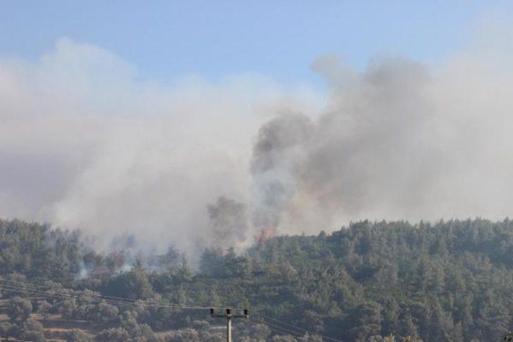 Son dakika: İzmir'deki yangın büyüyor! Köye sıçradı G5