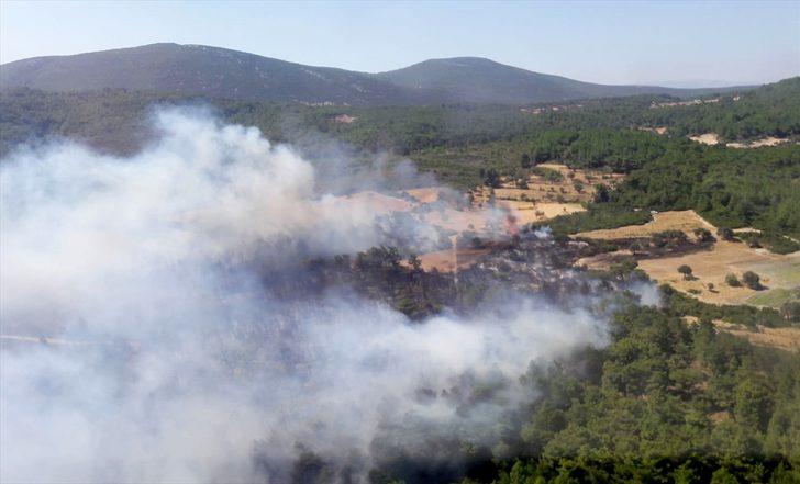 1 gündür devam ediyor! İzmir'deki yangına müdahale sürüyor G3