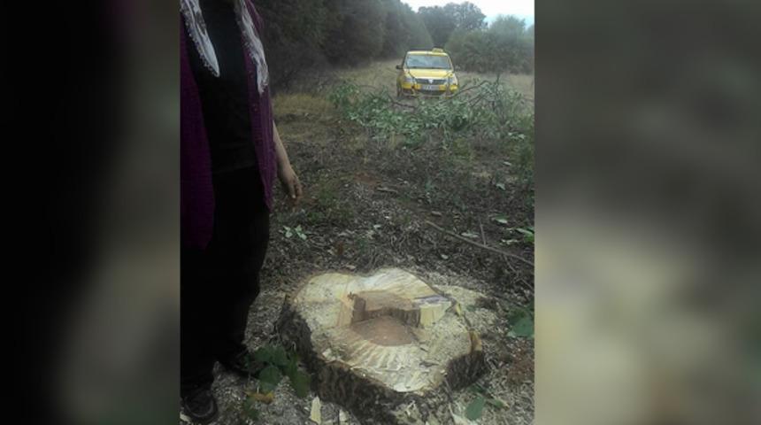 Bu da oldu! &Ccedil;ift&ccedil;iler b&uuml;y&uuml;k şaşkınlık yaşadı