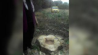 Bu da oldu! Çiftçiler büyük şaşkınlık yaşadı