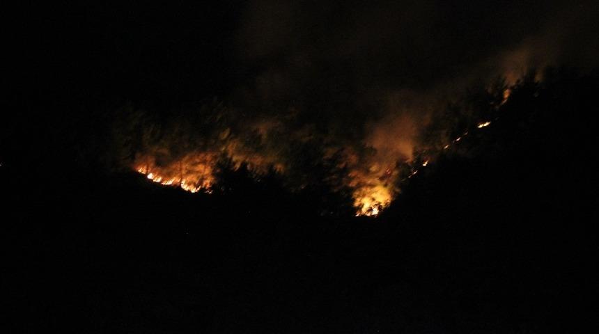 Korkulan oldu! Hatay'daki yangın farklı alanlara sıçrayarak yeniden alevlendi!