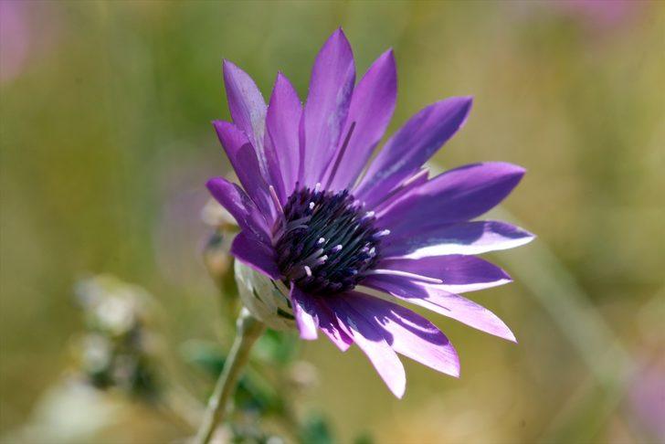 Aras Dağı'ndaki saklı güzellik büyülüyor G2