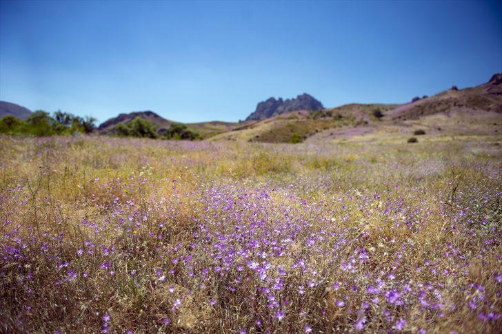 Aras Dağı'ndaki saklı güzellik büyülüyor G3