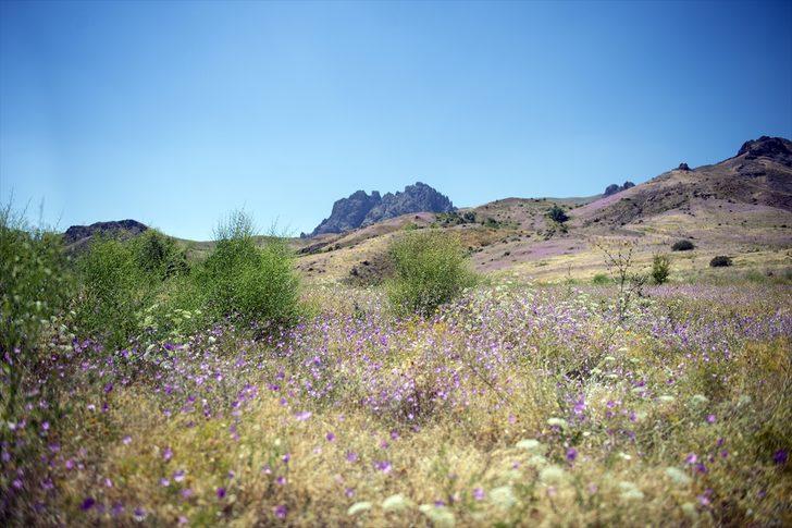 Aras Dağı'ndaki saklı güzellik büyülüyor G4