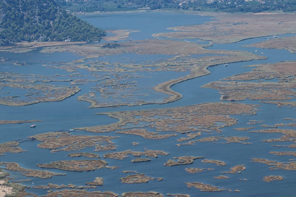 Labirenti andıran 'Dalyan Deltası' ilgi &ccedil;ekiyor
