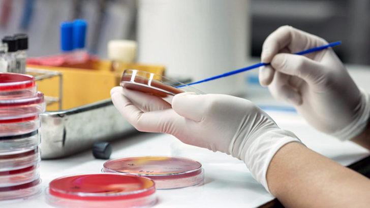 O bakteriyi kendisine enjekte etti: Hiç bu kadar iyi hissetmedim! G3