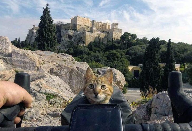 Ölmek üzereyken buldu! Şimdi onunla dünyayı geziyor G5