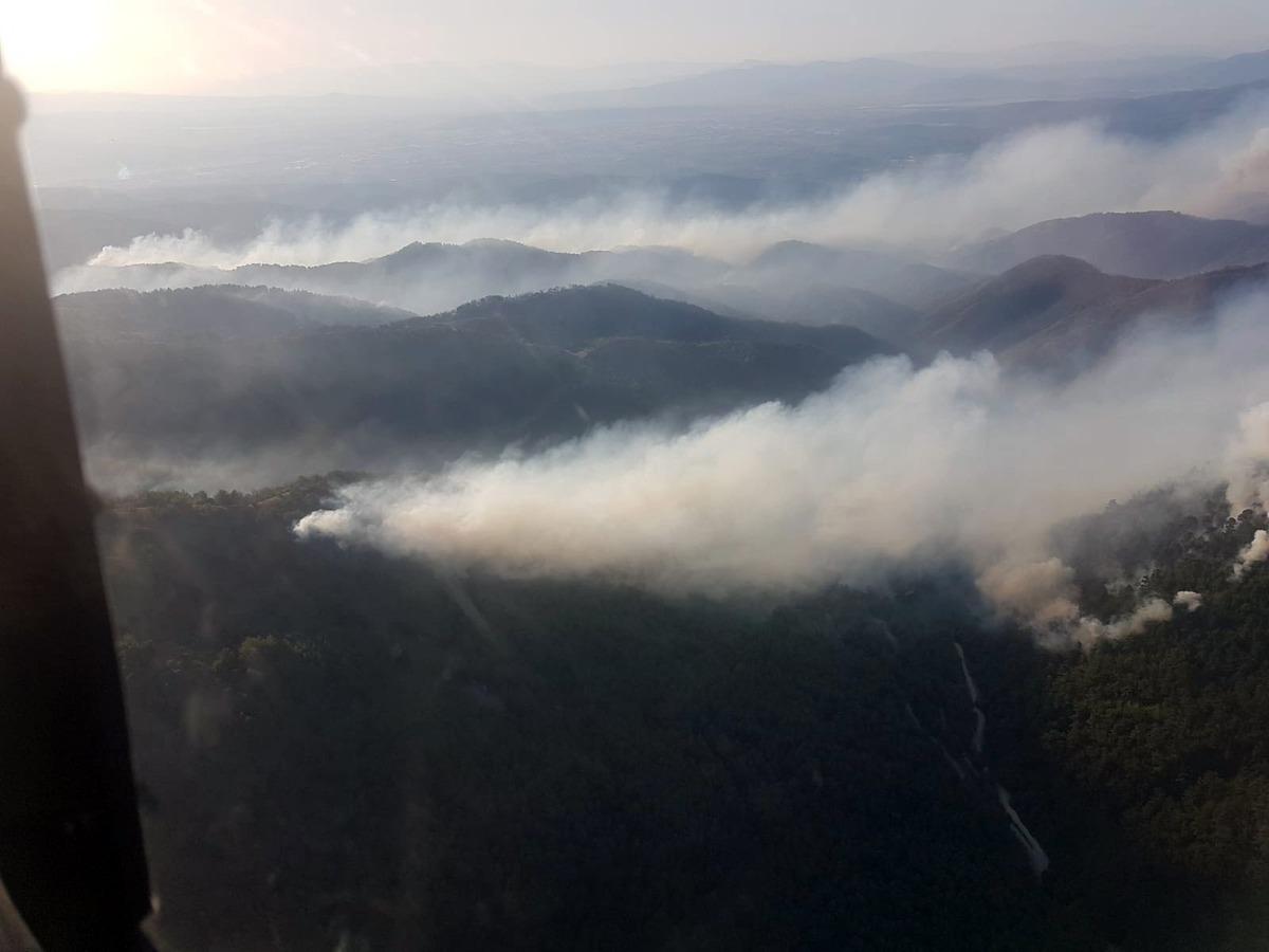 1 g&uuml;nd&uuml;r devam ediyor! İzmir'deki yangına m&uuml;dahale s&uuml;r&uuml;yor