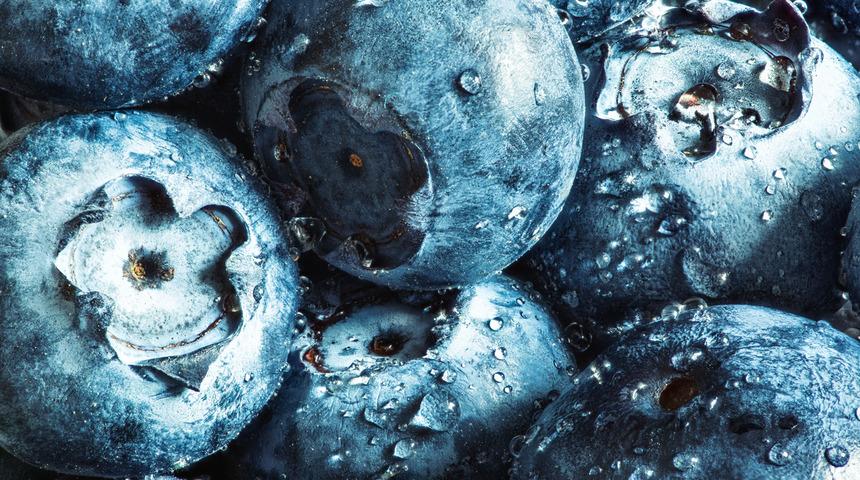 Yılda 5 bin ton maviyemiş &uuml;retiliyor! Hem doğurganlığı artırıyor hem de cildi yeniliyor