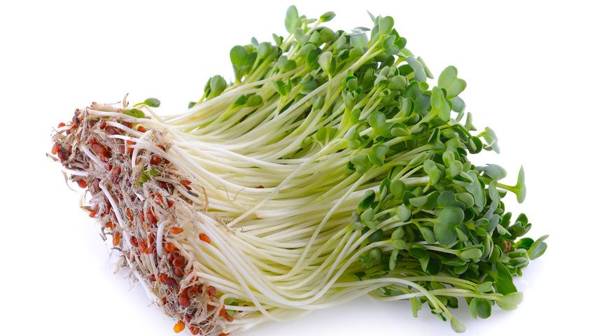 Mutfağın leziz minikleri: Mikro filizler