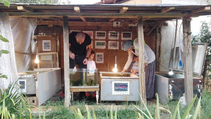 Akvaryum karidesine Türkiye’nin her yerinden talep var  G1