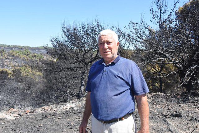 Bakan Pakdemirli, İzmir'deki orman yangını bölgesini havadan inceledi (3)