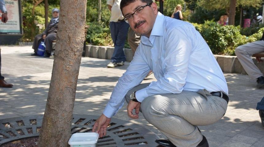 Başkan &Ccedil;elik&rsquo;ten sokak hayvanları i&ccedil;in anlamlı &ccedil;ağrı