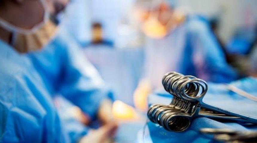 Beş yıl i&ccedil;inde 'domuzdan insana kalp nakli m&uuml;mk&uuml;n'