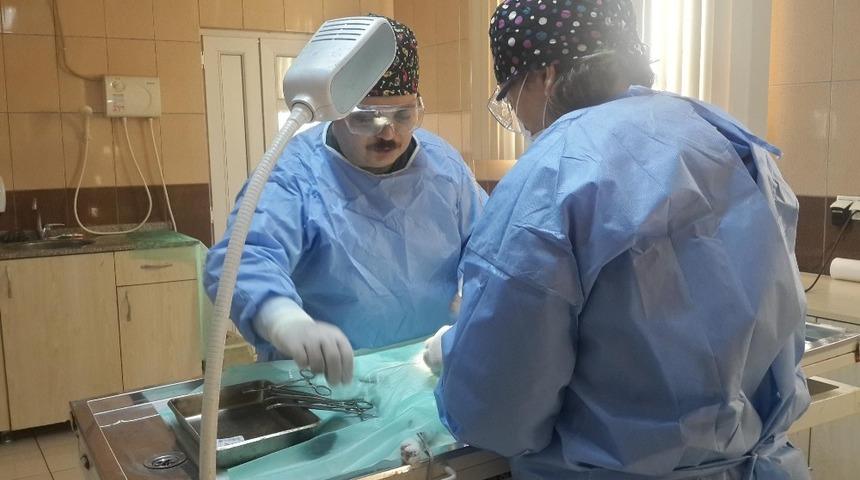 Kepez Belediyesi , sokak hayvanlarını sokakta bırakmıyor