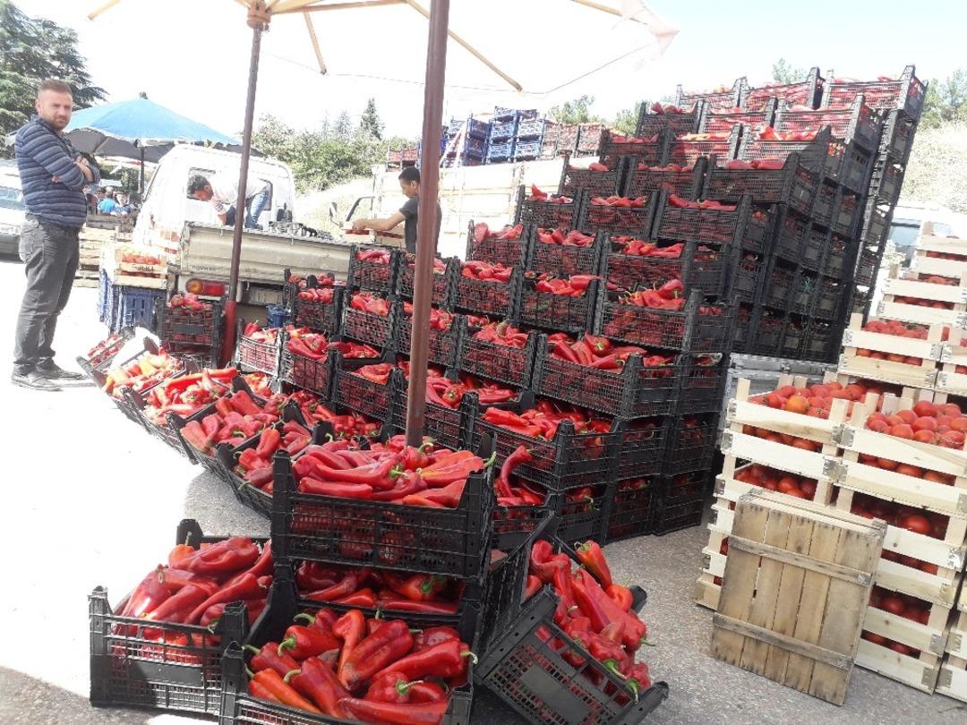 Bilecik&rsquo;te sal&ccedil;alıklar pazar tezg&acirc;hlarını doldurdu