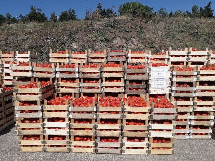 Bilecik’te salçalıklar pazar tezgâhlarını doldurdu G4