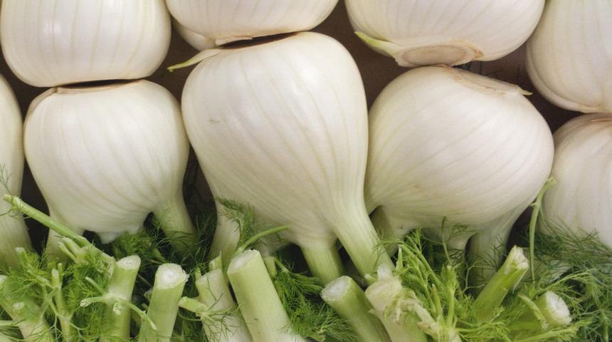 Eski çağlardan bu yana şifasından faydalanılan rezene etkileriyle şaşırtıyor