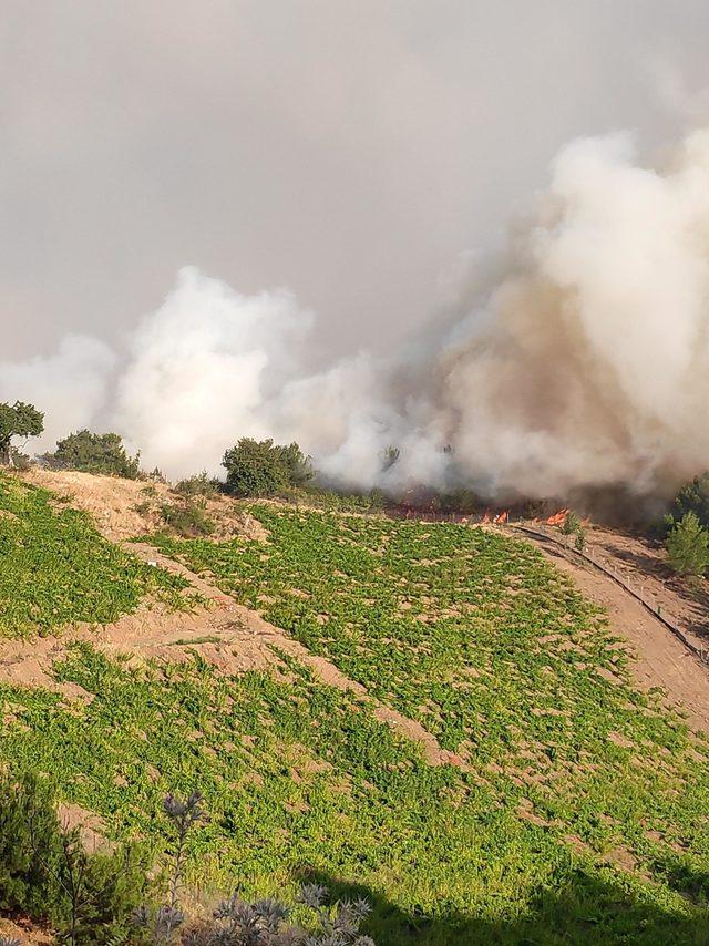Bakan Pakdemirli, İzmir'deki orman yangını bölgesini havadan inceledi (4)