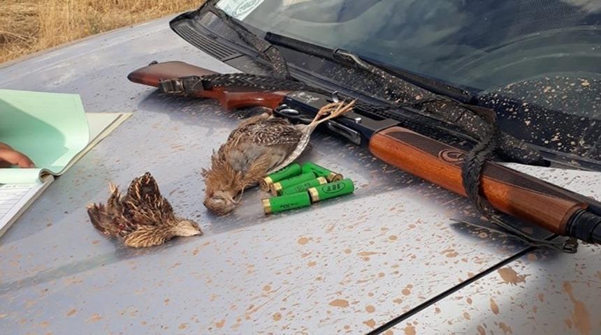 Keklik ve bıldırcın avlayanlara 3 bin 593 lira ceza