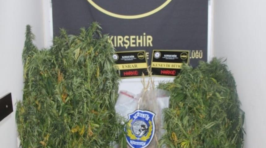 Kırşehir&rsquo;de 342 k&ouml;k hint keneviri ele ge&ccedil;irildi