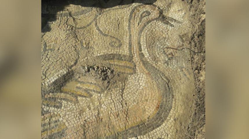 Bizans dönemine ait mozaiği çiftçiler buldu