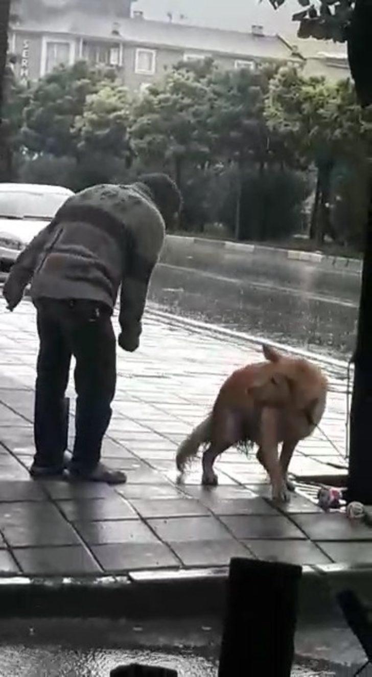 Bursa'da akılalmaz olay! Köpeği yumrukladı G1