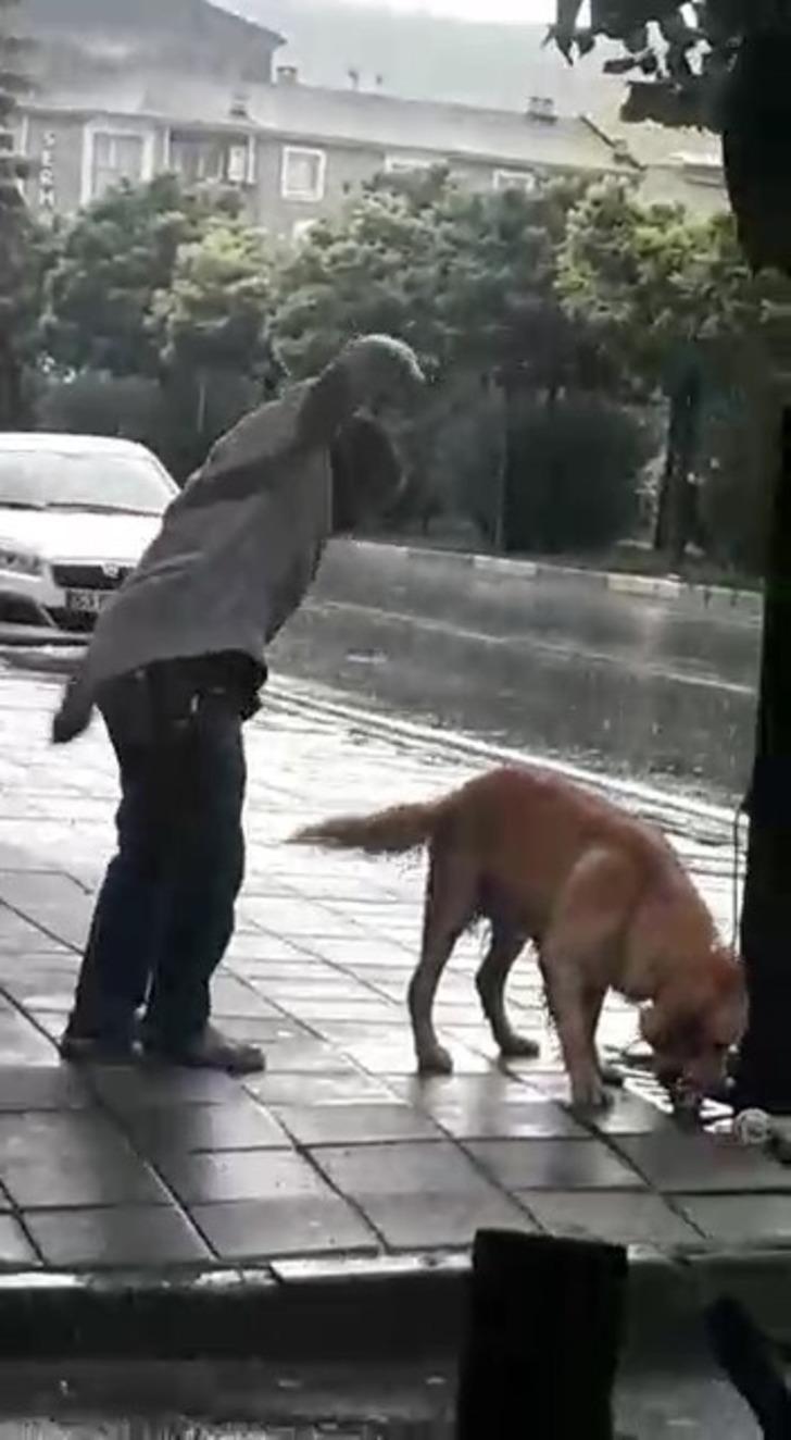 Bursa'da akılalmaz olay! Köpeği yumrukladı G2