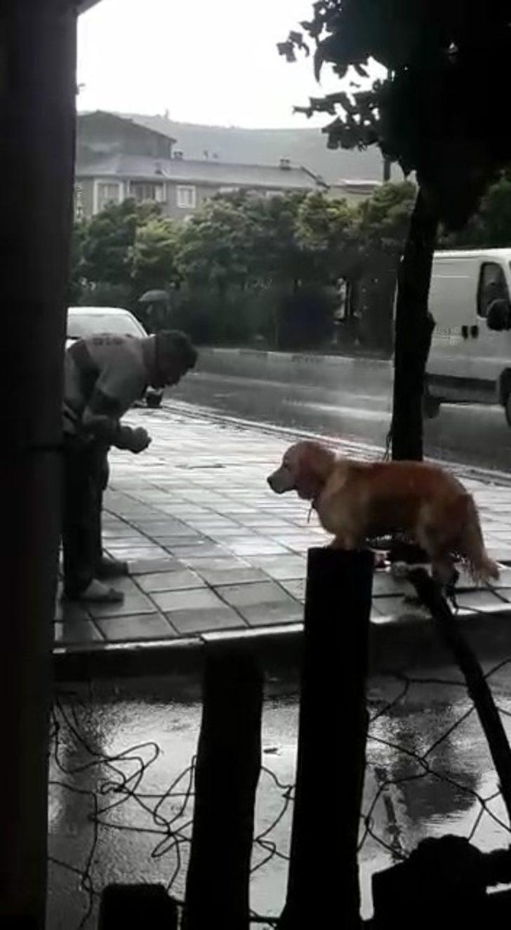 Bursa'da akılalmaz olay! Köpeği yumrukladı G4