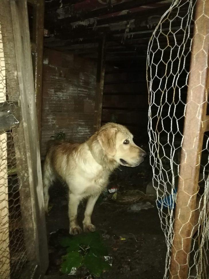 Bursa'da akılalmaz olay! Köpeği yumrukladı G5