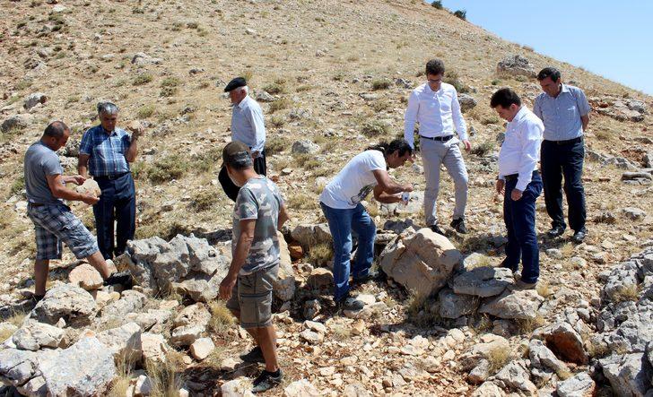 Adıyaman'da 5 hektarlık alandan milyonlarca fosil çıktı G4