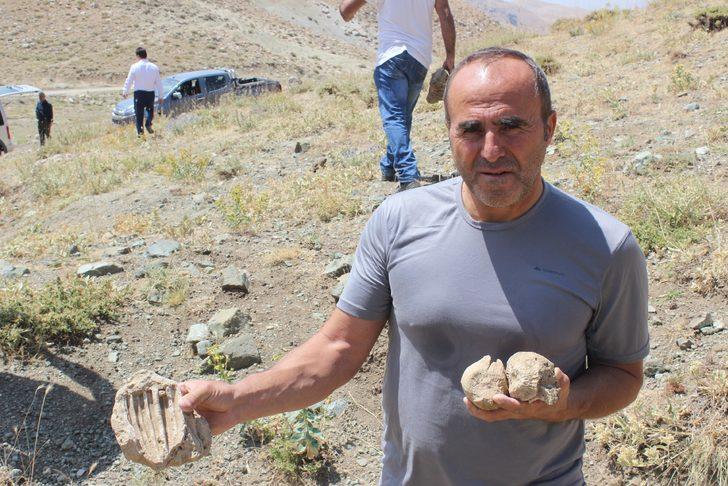 Adıyaman'da 5 hektarlık alandan milyonlarca fosil çıktı G5