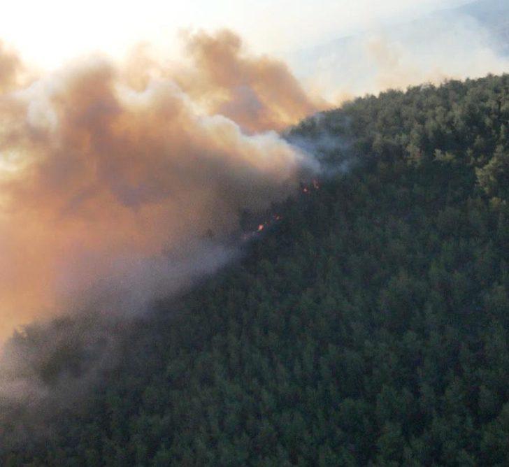İzmir'deki yangın kısmen kontrol altına alındı G2