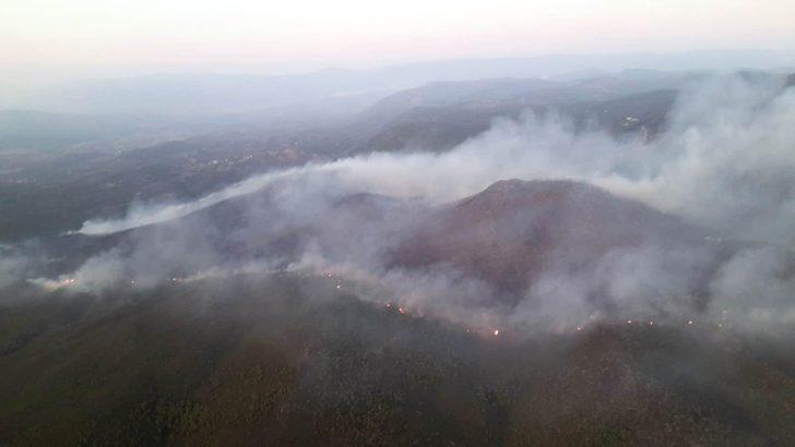 İzmir'deki yangın kısmen kontrol altına alındı G3