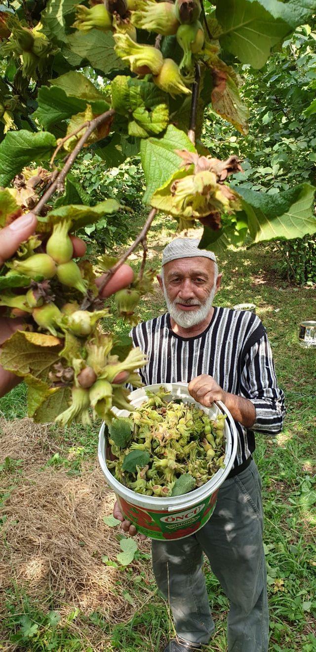 Fındık, üreticinin yüzünü güldürdü 1