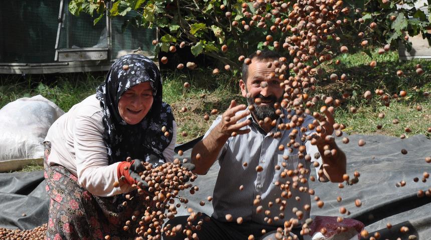 Fındık, üreticinin yüzünü güldürdü