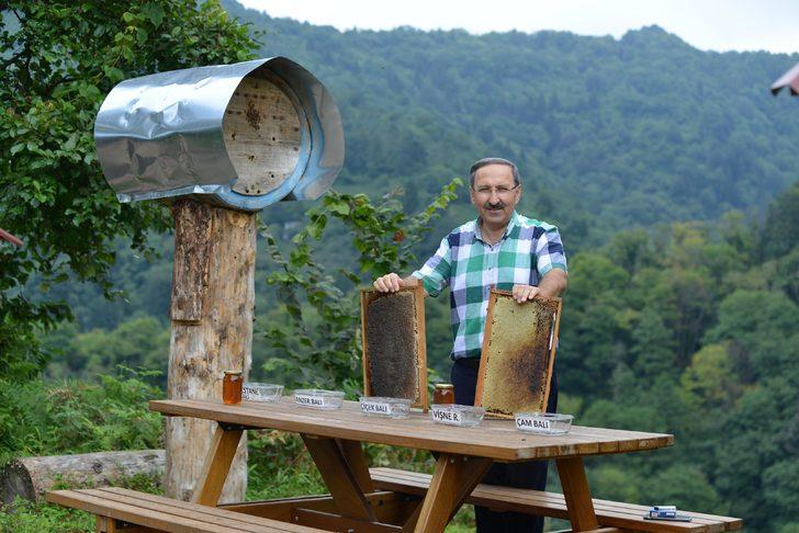  Trabzon'da gülümseten olay! Ayıyı kovanlardan uzaklaştıramayınca bal testine soktu G1