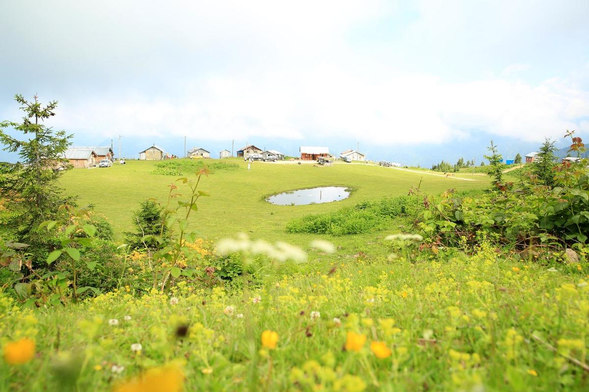 Karadeniz'in yeni g&ouml;zdesi: Badara Yaylası  