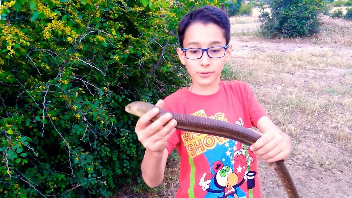 Hayvanlara fısıldayan &ccedil;ocuk sosyal medyanın g&uuml;ndeminde! T&uuml;rk Steve Irwin olmaya aday 