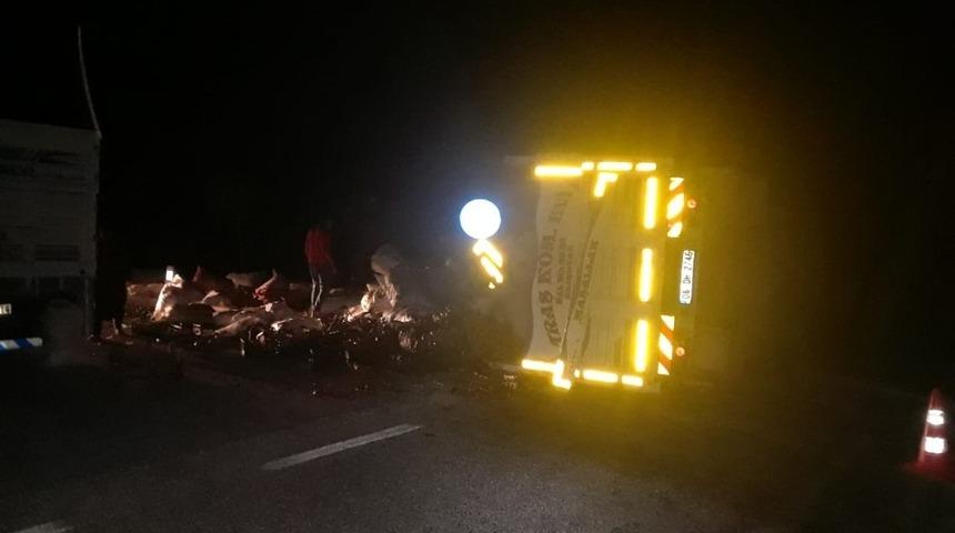 Kontrolden &ccedil;ıkan kamyon devrildi