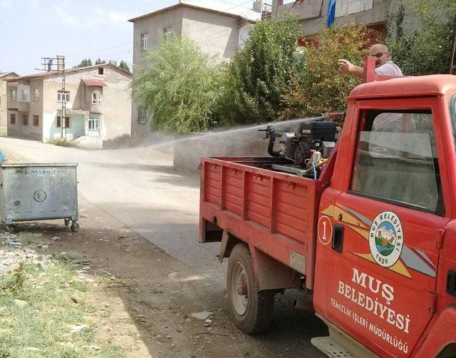 Muş Belediyesinden ilaçlama çalışması