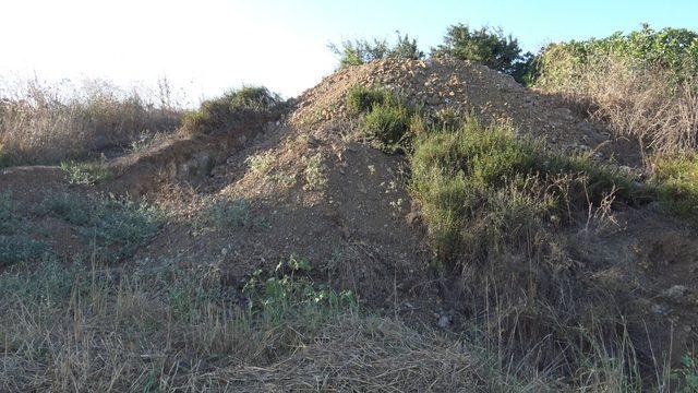 Tekirdağ’da definecilerin tarlada altın aradığı iddiası