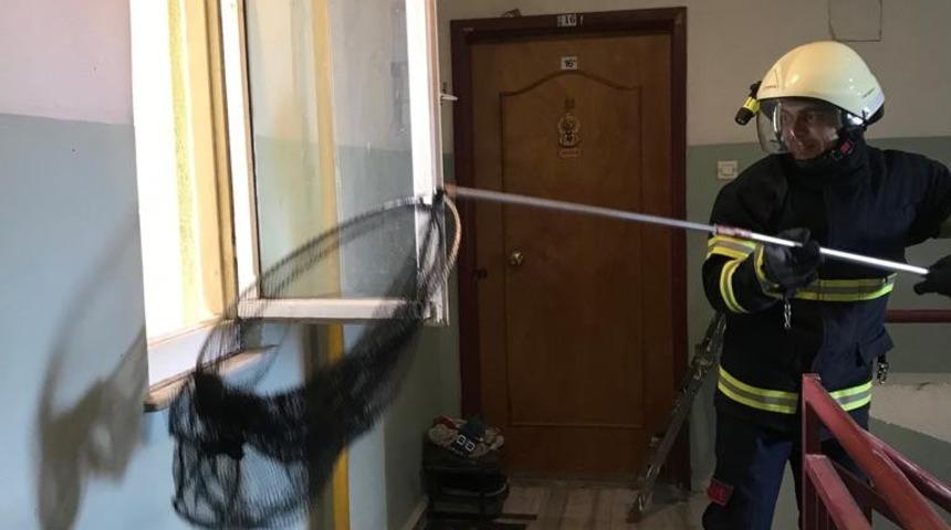 Apartmandan 60 yarasa çıkardılar