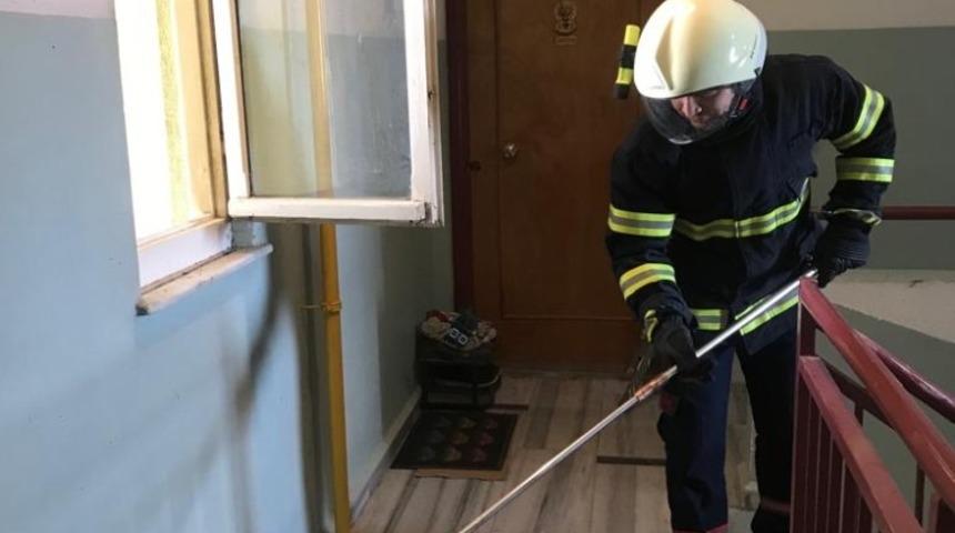 Apartmandan 60 yarasa &ccedil;ıkardılar