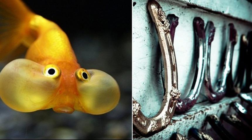 Şanssız İnsanların Talihini &Ccedil;evirebilecek 8 Uğurlu Tılsım